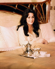 ELIZABETH TAYLOR PRINTS AND POSTERS 289052