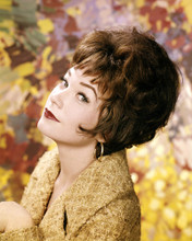 SHIRLEY MACLAINE PRINTS AND POSTERS 288908