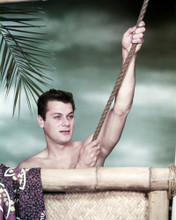 TONY CURTIS PRINTS AND POSTERS 288867