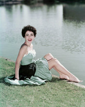 ELIZABETH TAYLOR PRINTS AND POSTERS 288787