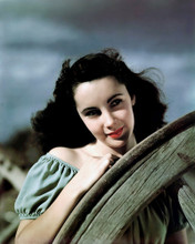 ELIZABETH TAYLOR PRINTS AND POSTERS 288759