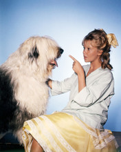 HAYLEY MILLS WALT DISNEY POSE WITH OLD ENGLISH SHEEPDOG PRINTS AND POSTERS 288577