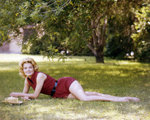 ANGIE DICKINSON STUNNING BAREFOOT LYING ON GRASS 1960'S PIN UP PRINTS AND POSTERS 288573