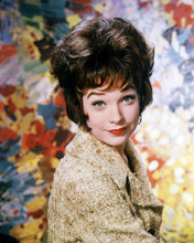 SHIRLEY MACLAINE STRIKING PORTRAIT FUL BACKDROP PRINTS AND POSTERS 288561