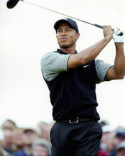 TIGER WOODS PRINTS AND POSTERS 288396