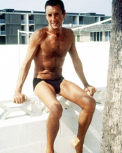 ROY SCHEIDER JAWS 2 HUNKY BARECHESTED IN SPEEDO'S RARE POSE PRINTS AND POSTERS 288377
