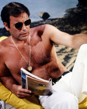 ROBERT WAGNER SWITCH BARECHESTED HUNKY PORTRAIT WEARING MEDALLION PRINTS AND POSTERS 288362