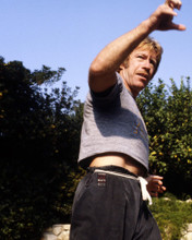 CHUCK NORRIS IN T-SHIRT KARATE MOVES PRINTS AND POSTERS 288359