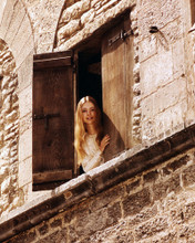JUDI BOWKER LOOKING OUT OF CASTLE WINDOW PRINTS AND POSTERS 288335