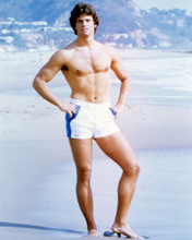 LORENZO LAMAS HUNKY BARECHESTED ON BEACH FALCON CREST STAR PRINTS AND POSTERS 288333