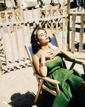 ELIZABETH TAYLOR RELAXING ON FILM SET DIRECTOR'S CHAIR PRINTS AND POSTERS 288258