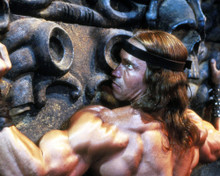 ARNOLD SCHWARZENEGGER CONAN THE DESTROYER MUSCLE BARECHESTED PRINTS AND POSTERS 288255