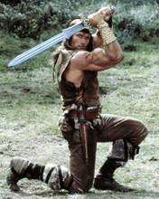 ARNOLD SCHWARZENEGGER CONAN THE DESTROYER WITH SWORD PRINTS AND POSTERS 288254