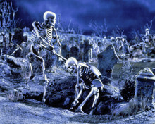 ARMY OF DARKNESS SKELETON GRAVEYARD EVIL DEAD PRINTS AND POSTERS 288251