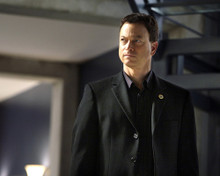 GARY SINISE CSI NEW YORK PRINTS AND POSTERS 287906