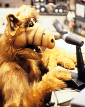ALF AT MICROPHONE TV SHOW PRINTS AND POSTERS 287706