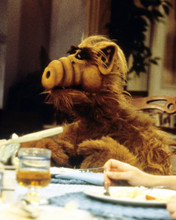 ALF TV SHOW RARE PRINTS AND POSTERS 287688