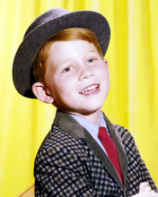 RON HOWARD THE ANDY GRIFFITH SHOW IN SUIT & HAT PRINTS AND POSTERS 287674
