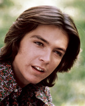 DAVID CASSIDY THE PARTRIDGE FAMILY CLASSIC PORTRAIT PRINTS AND POSTERS 287672