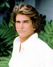 MICHAEL LANDON HIGHWAY TO HEAVEN PORTRAIT PRINTS AND POSTERS 287657