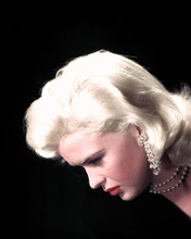 JAYNE MANSFIELD STRIKING PROFILE GLAMOUR HEAD SHOT PRINTS AND POSTERS 287654