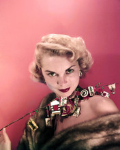 JANET LEIGH AMAZING 50'S HOLLYWOOD GLAMOUR SHOT FROM TRANSPARENCY PRINTS AND POSTERS 287284
