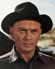 YUL BRYNNER RETURN OF THE SEVEN BLACK STETSON COOL IMAGE PRINTS AND POSTERS 287143