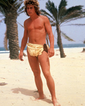 WILLIE AAMES PARADISE BARECHESTED IN LOIN CLOTH HUNKY PRINTS AND POSTERS 287109
