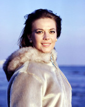 NATALIE WOOD PRINTS AND POSTERS 286973