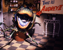 LITTLE SHOP OF HORRORS (1986) PRINTS AND POSTERS 286890