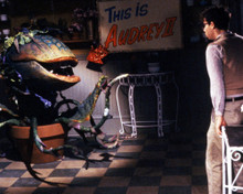LITTLE SHOP OF HORRORS (1986) PRINTS AND POSTERS 286880