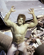 THE INCREDIBLE HULK PRINTS AND POSTERS 286823