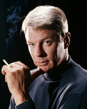 PETER GRAVES PRINTS AND POSTERS 286792
