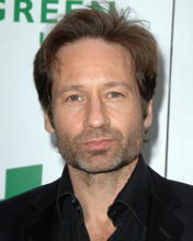 DAVID DUCHOVNY PRINTS AND POSTERS 286743