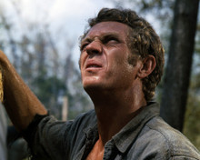 STEVE MCQUEEN PRINTS AND POSTERS 286583