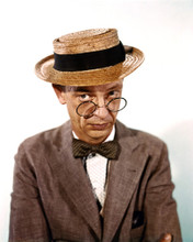 DON KNOTTS THE INCREDIBLE MR. LIMPET STRAW HAT & GLASSES PRINTS AND POSTERS 286526