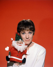 JULIE ANDREWS PRINTS AND POSTERS 286508