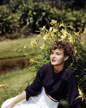 JEAN PETERS PRINTS AND POSTERS 286488