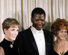 SIDNEY POITIER PRINTS AND POSTERS 286439