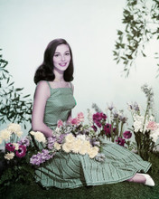 PIER ANGELI PRINTS AND POSTERS 286429