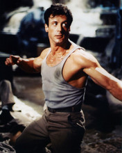 SYLVESTER STALLONE PRINTS AND POSTERS 286396