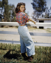 GAIL RUSSELL DENIM BY FENCE ON RANCH PRINTS AND POSTERS 286376