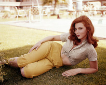TINA LOUISE PRINTS AND POSTERS 286330