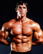ARNOLD SCHWARZENEGGER BARECHESTED MUSCLEMAN WEIGHT LIFTING POSE PRINTS AND POSTERS 286329