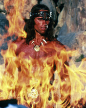 ARNOLD SCHWARZENEGGER CONAN THE BARBARIAN DRAMATIC BY FIRE PRINTS AND POSTERS 286319