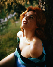 TINA LOUISE PRINTS AND POSTERS 286316