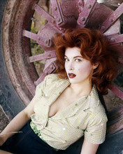 TINA LOUISE PRINTS AND POSTERS 286312