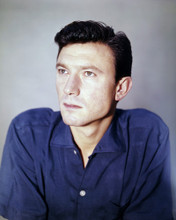 LAURENCE HARVEY PRINTS AND POSTERS 286154