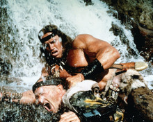 ARNOLD SCHWARZENEGGER CONAN THE BARBARIAN WATERFALL PRINTS AND POSTERS 286110