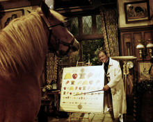 REX HARRISON DOCTOR DOLITTLE TEACHING HORSE PRINTS AND POSTERS 285637